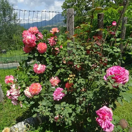 Country house La Fattoria Al Crocefisso *