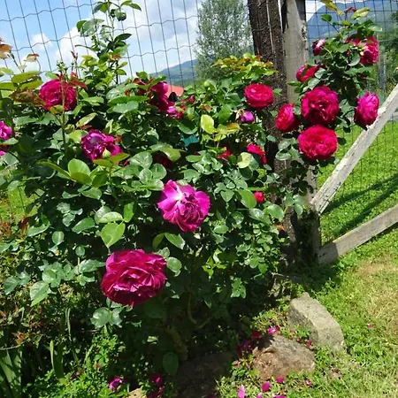 La Fattoria Al Crocefisso *