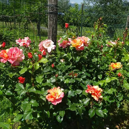 La Fattoria Al Crocefisso Country house