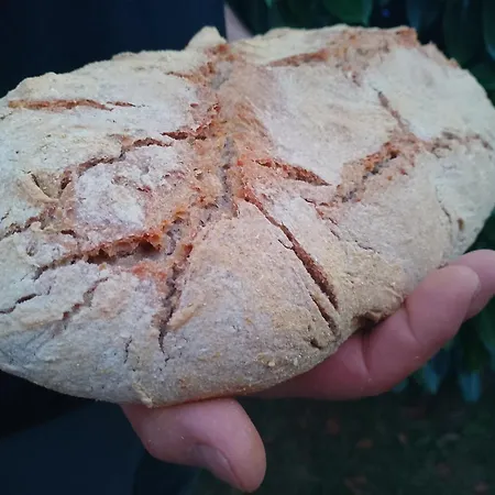 La Fattoria Al Crocefisso Landhaus *