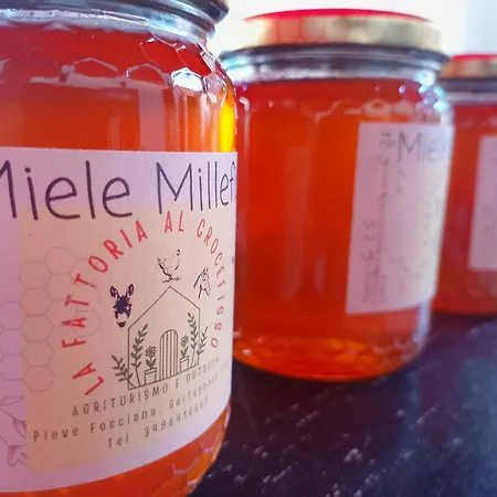 La Fattoria Al Crocefisso Landhaus Pieve Fosciana